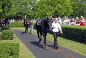 Neue Bult Mai09   036